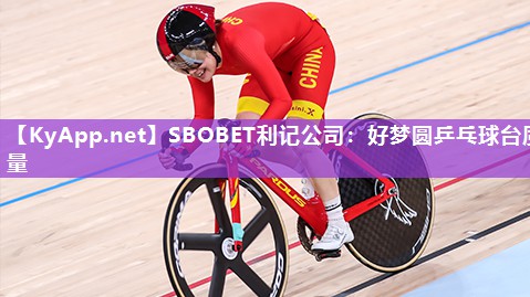 好梦圆乒乓球台质量 好梦圆乒乓球台质量